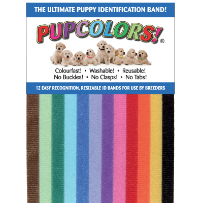 12 Identification collars - <35cm - multicoloured