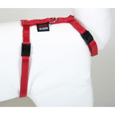 Shampooing professionnel pour chien - Poils Soyeux - Fourrures longues - Vivog