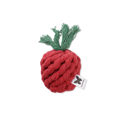 Tomato on the vine - Vegetable - Medium size - red