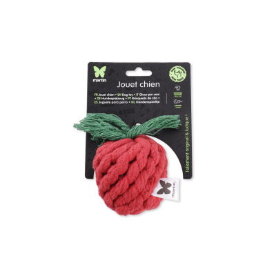 Tomato on the vine - Vegetable - Medium size - red