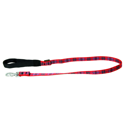 Laisse pour chien - nylon rond turquoise - 5 m
