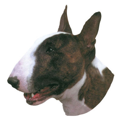 Sticker - Bull Terrier - 14/15cm - white