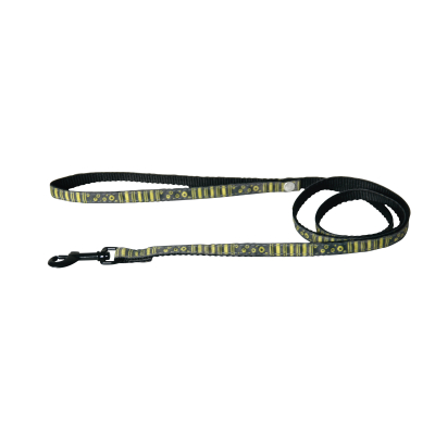 Laisse pour chat en nylon - Bulles - 1m - 1cm - vert