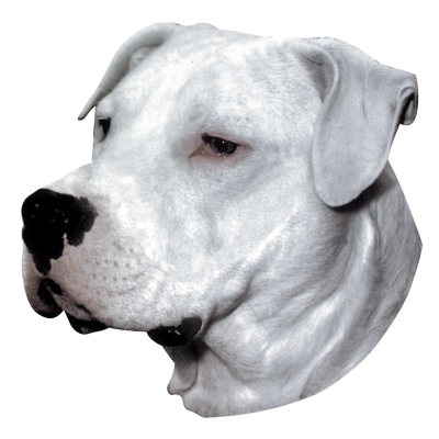 Sticker - Dogo Argentino - 14/15cm - white