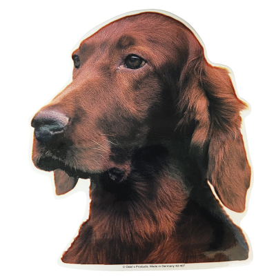 Sticker - Irish Setter - 14/15cm - brown