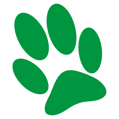 Autocollant - Pattes de chien - 15cm - vert