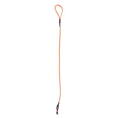 Collier en cuir naturel pour chien - double épaisseur