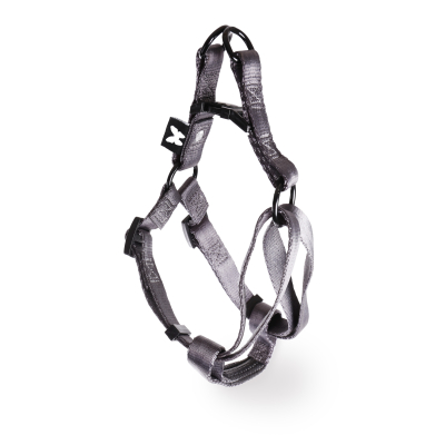 3005575-579-583-587-590