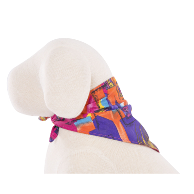 Longe pour chien en nylon rond bleu - larg 13 mm Long 300cm