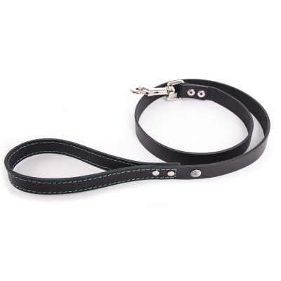 Laisse en nylon orange et  marron pour chien - Happy dog - Image - larg 10mm Long 110cm