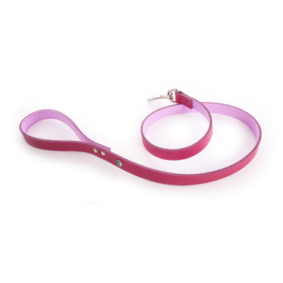Laisse pour chien - Bayadère vert - larg 10mm Long 110cm