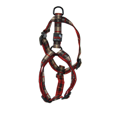 Collier réglable pour chat - Chic