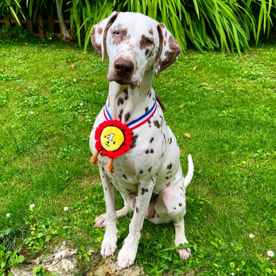 Plush Medal - The Frenchies