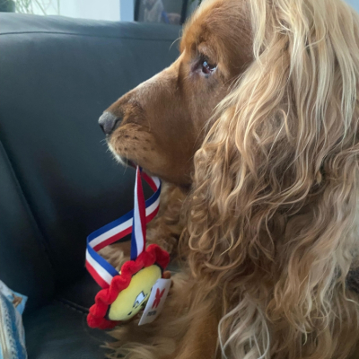 Plush Medal - The Frenchies