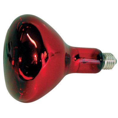 Infrared heating bulb - 150W - red