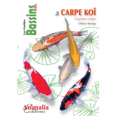 Book - The Koi Carp