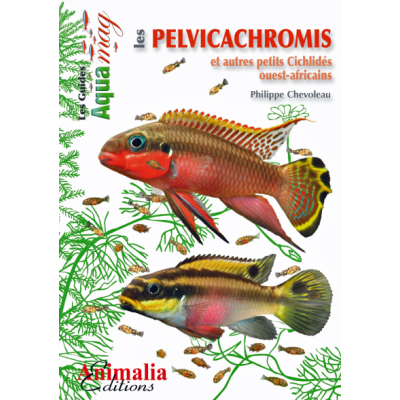 Book - The Pelvicachromis