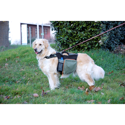 Dog backpack - green