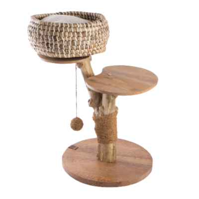 Arbre à chat "Caféier" 1