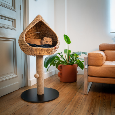 Arbre à Chat Goutte 50CM - Sensation Vietnam