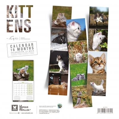 Calendrier 2023 - Chatons - Martin Sellier