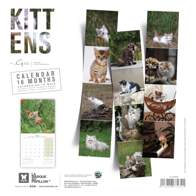 Calendrier 2026 - Chatons - Martin - dos