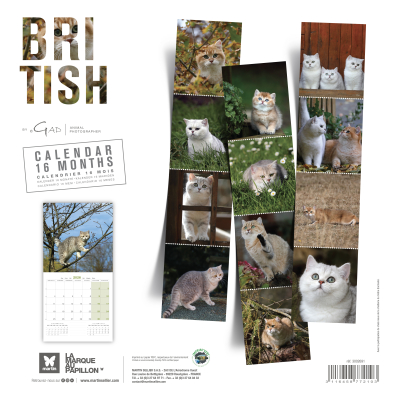 Calendrier chat 2026 - British - Martin - dos