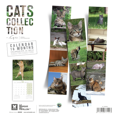 Calendrier chat 2026 - Chats - Martin - dos