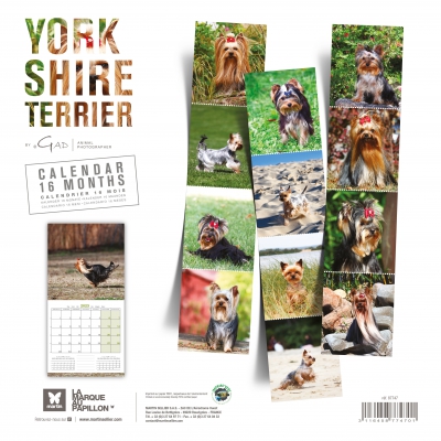 Calendrier chien 2023 - Yorkshire - Martin Sellier