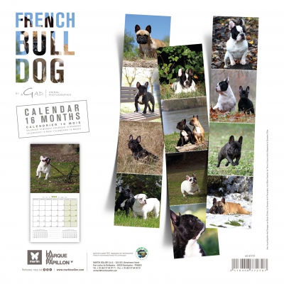 Calendrier chien 2024 - Bouledogue français - Martin Sellier 2