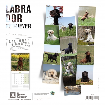 Calendrier chien 2024 - Labrador - Martin Sellier_dos