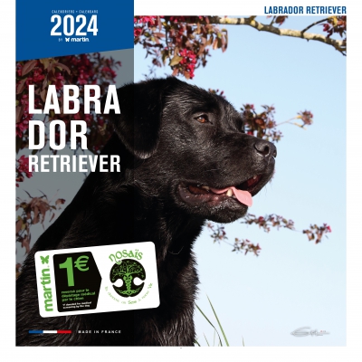 Calendrier chien 2024 - Labrador - MS