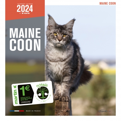 Maine Coon - calendrier chien 2024 - Martin Sellier