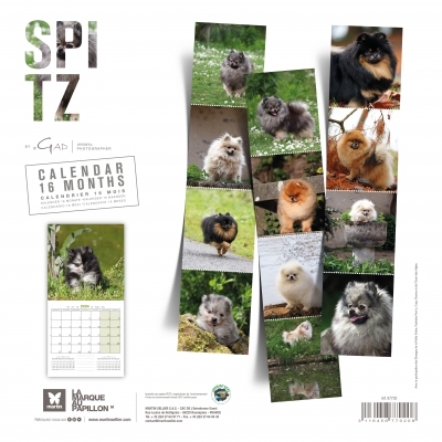 Calendrier chien 2024 - Spitz - Martin Sellier 2