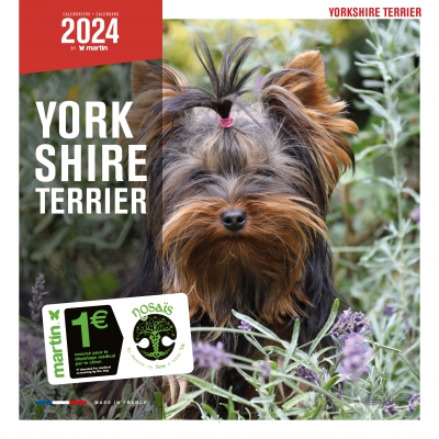 Calendrier chien 2024 - Yorkshire -