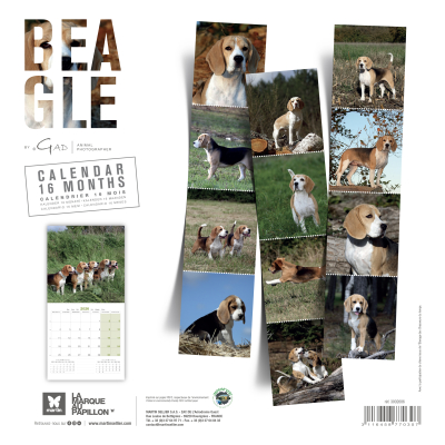Calendrier chien 2026 - Beagle - Martin - dos