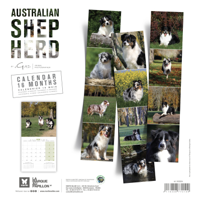 Calendrier chien 2026 - Berger Australien - Martin - dos