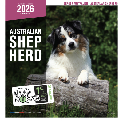 Calendrier chien 2026 - Berger Australien - Martin