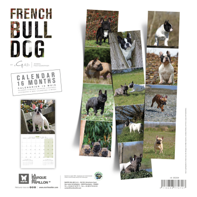 Calendrier chien 2026 - Bouledogue français - Martin - Dos