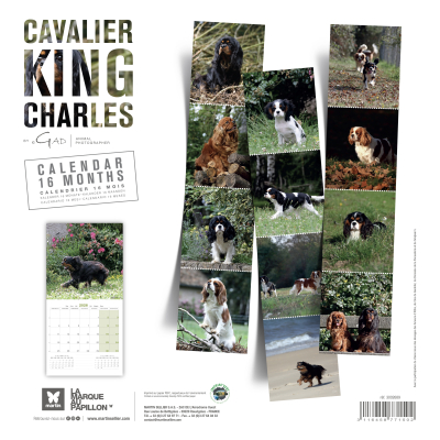 Calendrier chien 2026 - Cavalier King Charles - Martin - Dos
