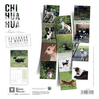Calendrier chien 2026 - Chihuahua - Martin - Dos