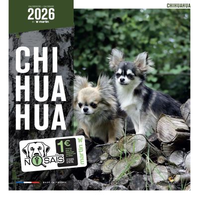 Calendrier chien 2026 - Chihuahua - Martin