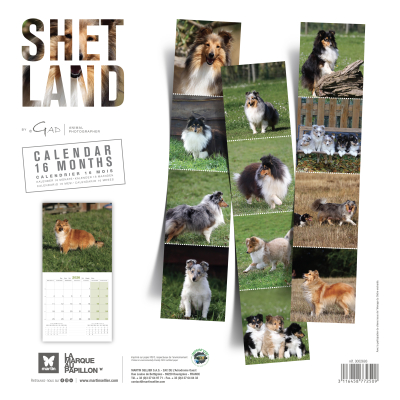 Calendrier chien 2026 - Shetland - Martin - dos