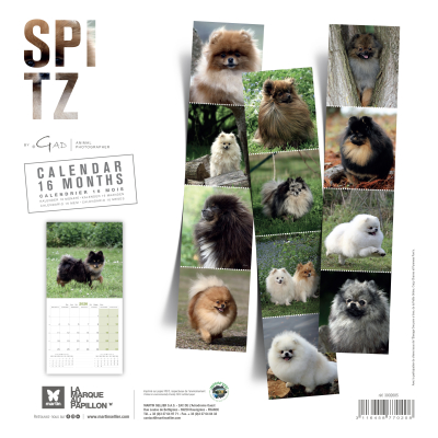 Calendrier chien 2026 - Spitz - Martin - dos