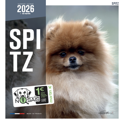 Calendrier chien 2026 - Spitz - Martin