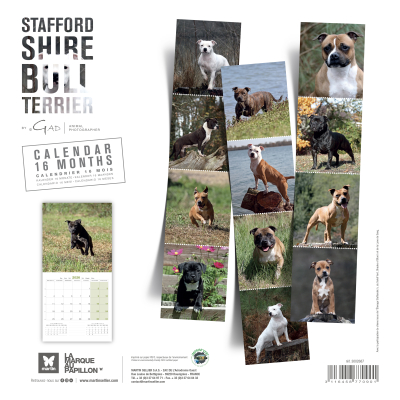 Calendrier chien 2026 - Stafford Shire Bull Terrier - Martin - dos