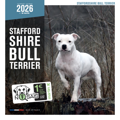 Calendrier chien 2026 - Stafford Shire Bull Terrier - Martin
