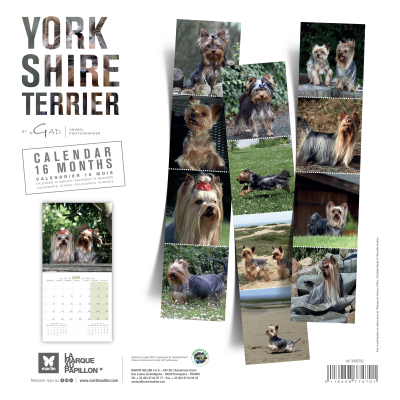 Calendrier chien 2026 - Yorkshire - Martin dos