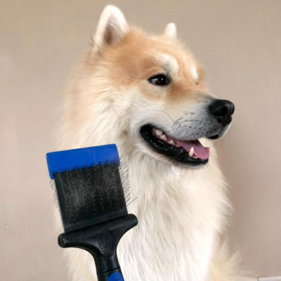 Carde double flexible M 3