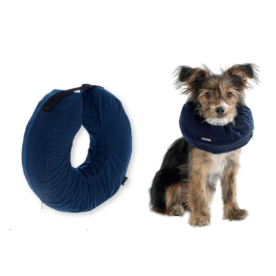 Collerette gonflable pour chien